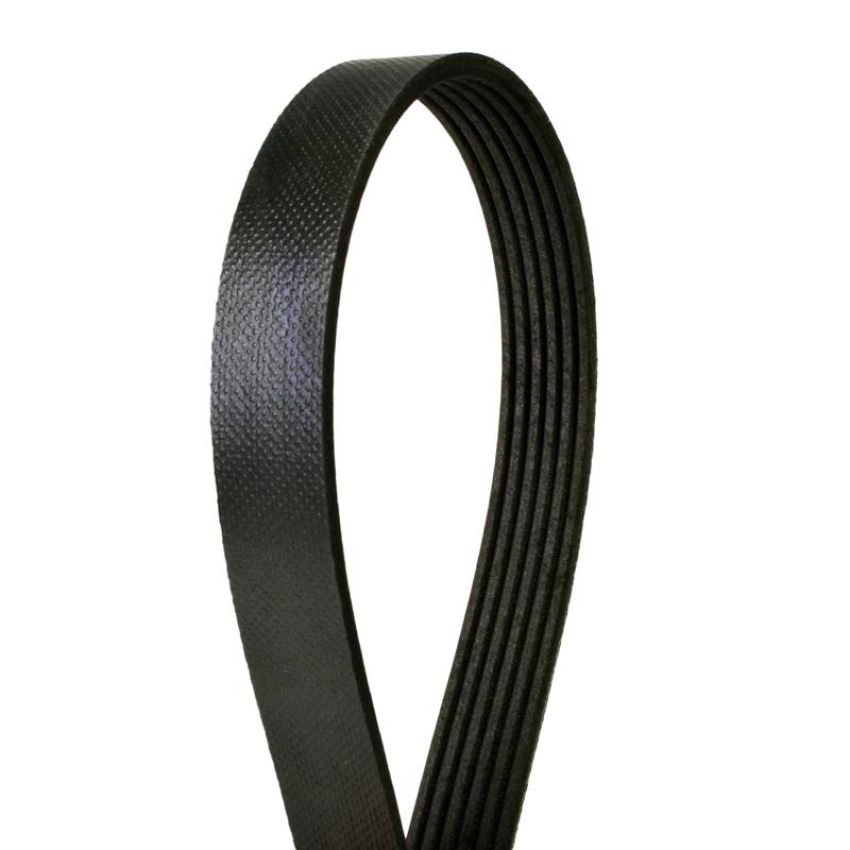 CONTITECH 6PK1653 Metric Multi-V Belt