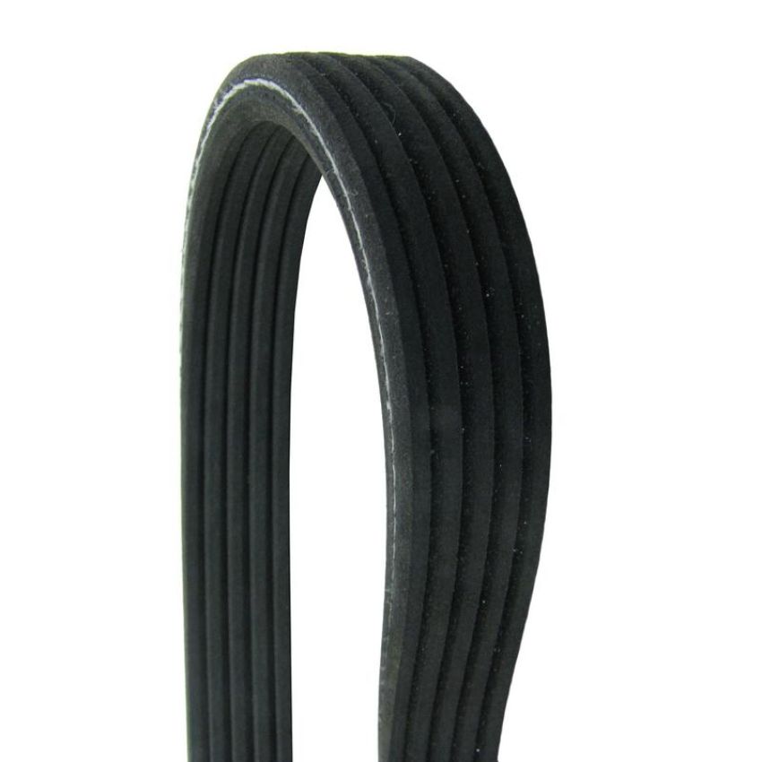 CONTITECH D4050610 Multi-V Dual-Sided Belt