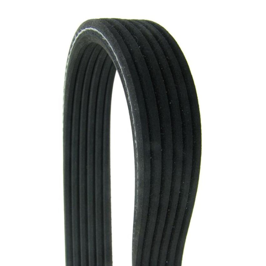 CONTITECH D4060650 Multi-V Dual-Sided Belt