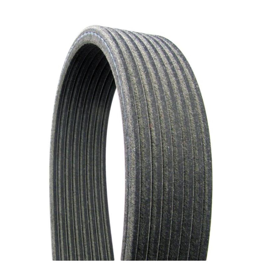 CONTITECH D4080555 Multi-V Dual-Sided Belt