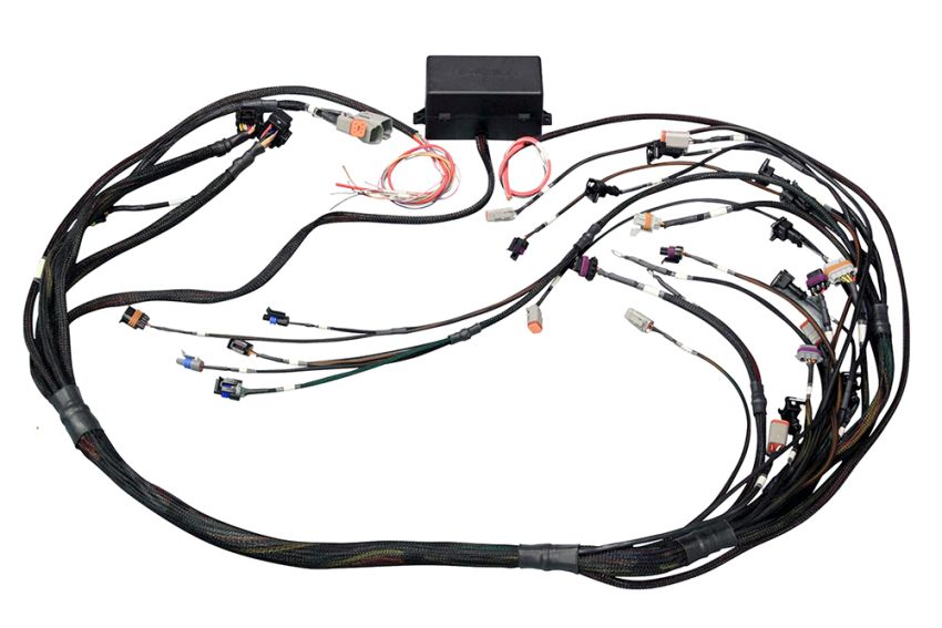 Haltech HT-141360 GM GEN III LS1 & LS6 (Non DBW) Elite 2000/2500 Terminated Harness w/EV1 Injector Connectors