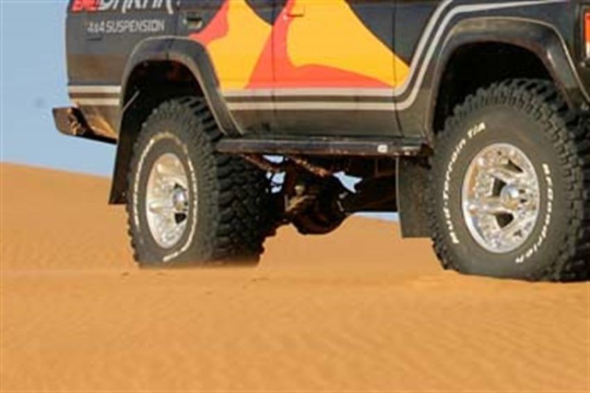 ARB 4410020 Deluxe Protection Step 60 Ser