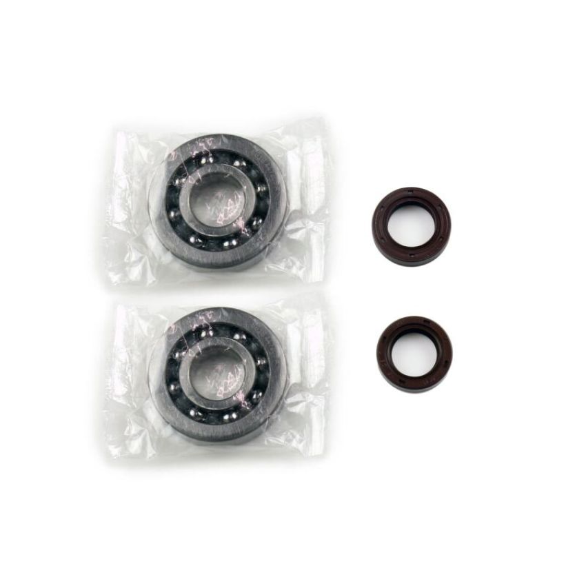 Athena P400480444001 Bearing & Oil Seal Kits