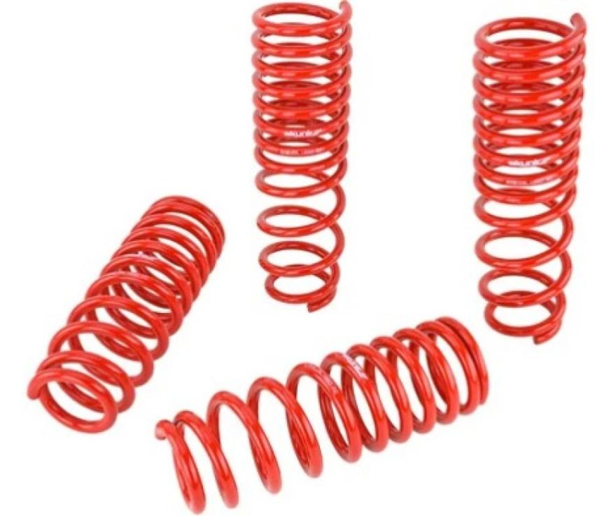 Skunk2 Racing 519-05-0005 Skunk2 92-95 Honda Civic/Del Sol Lowering Springs (2.50in - 2.25in.) (Set of 4)