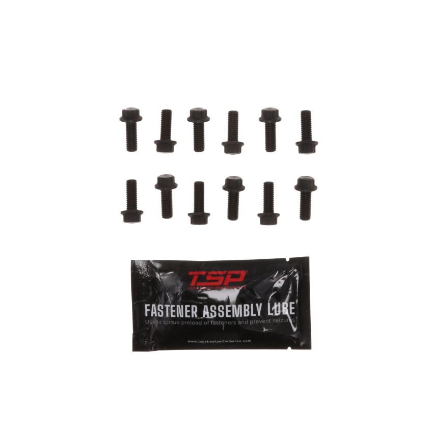 Top Street Performance 73421168 TSP Pro Series GM Gen III/IV LS Camshaft Sprocket 12-point Bolt Kit