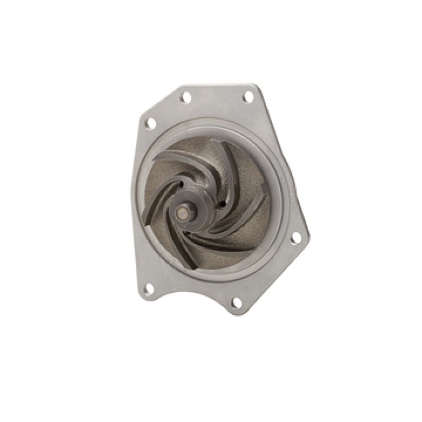 Dayco DP595 Water Pump