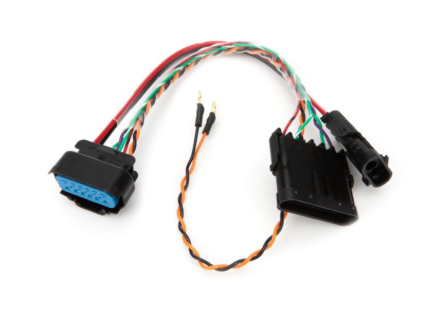 QUICKCAR RACING PRODUCTS QRP50-2013 Harness Adapter MSD to 6 Pin Spec Harness