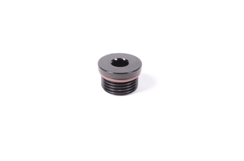 Radium Engineering 14-0150 8AN ORB PLUG