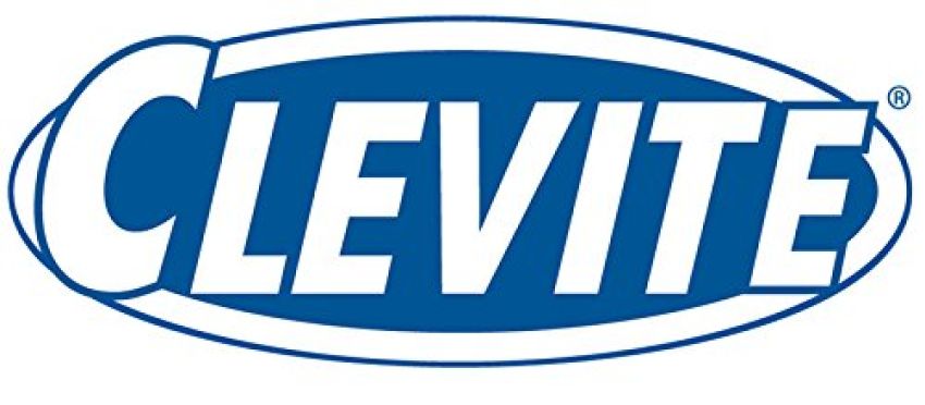 MAHLE 42191 Engine Piston Ring Set
