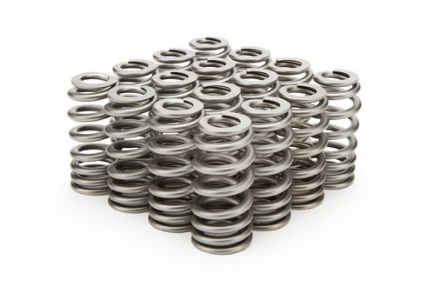 PAC RACING SPRINGS PACPAC-1232X-16 1.345 Valve Springs - Ovate Beehive (16)