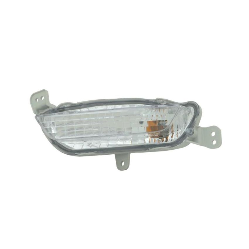 DEPO 317-1641L-ACN Capa Signal Lmp