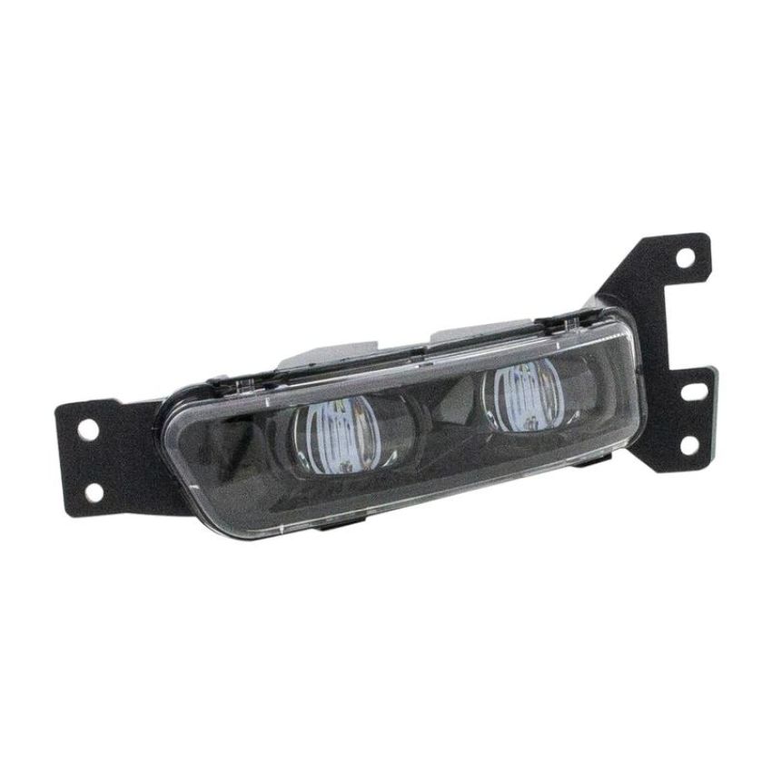 Eagle EyesCS449-B100L Fog Light Assembly