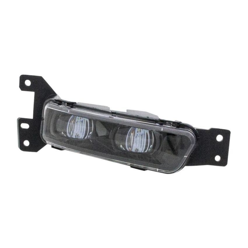 Eagle EyesCS449-B100R Fog Light Assembly