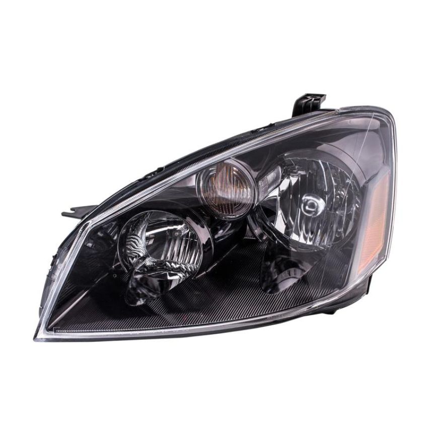 Eagle EyesDS581-B101LR Headlight Assembly