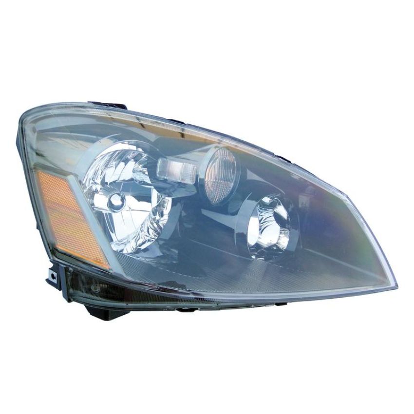 Eagle EyesDS581-B101R Headlight Assembly