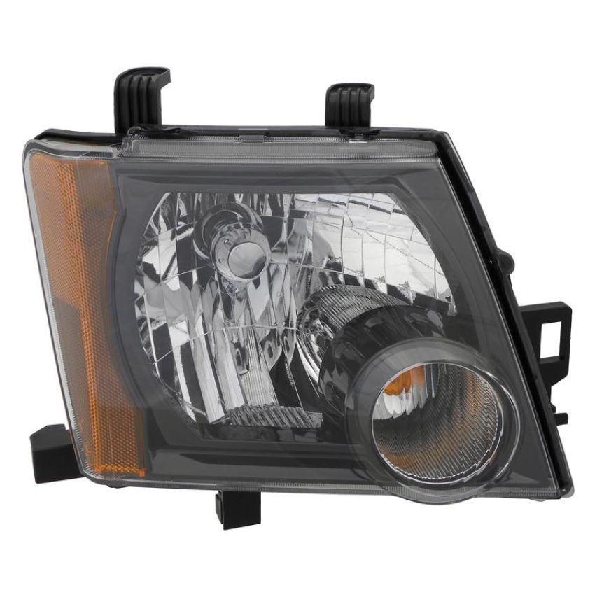 Eagle EyesDS596-B101R Headlight Assembly