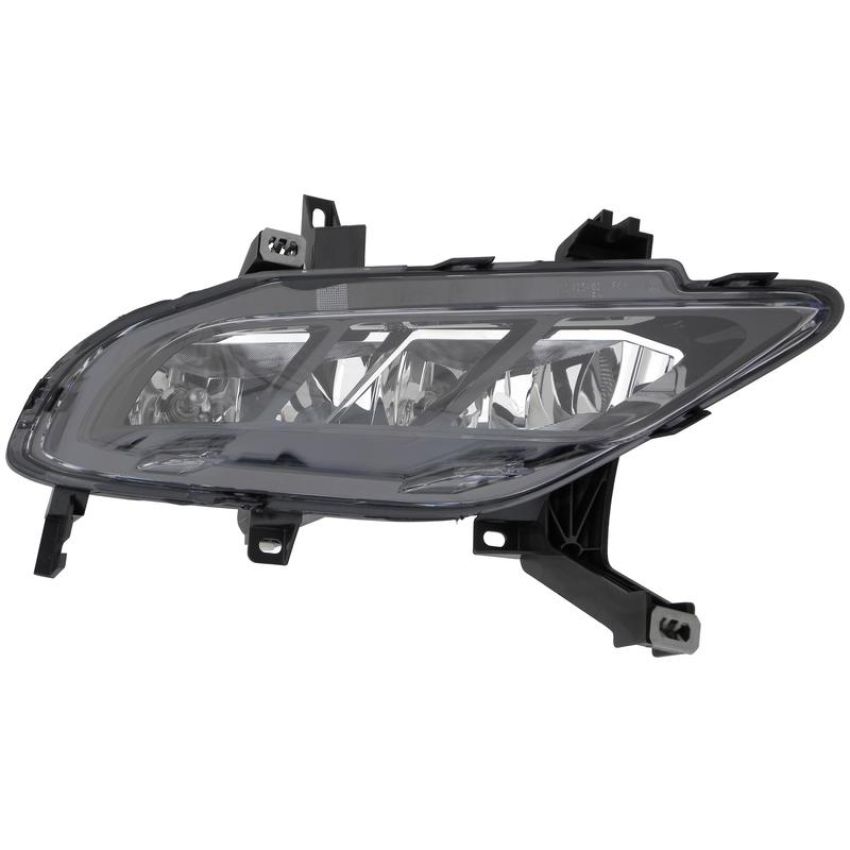 Eagle EyesDS767-B100R Fog Light Assembly