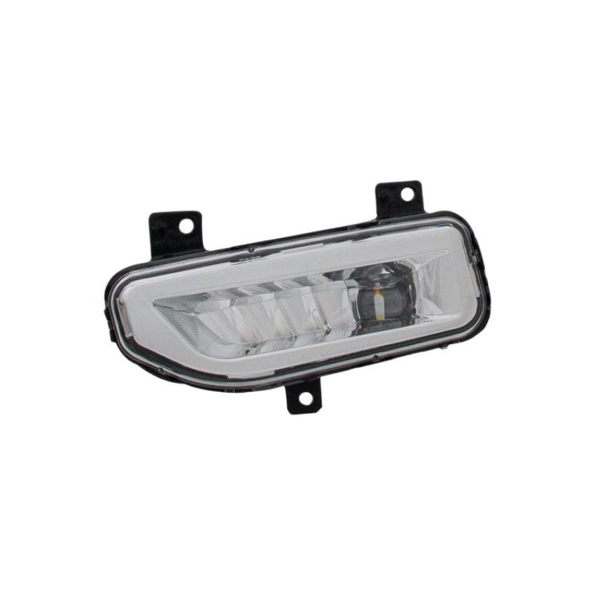 Eagle EyesDS821-B000L Fog Light Assembly