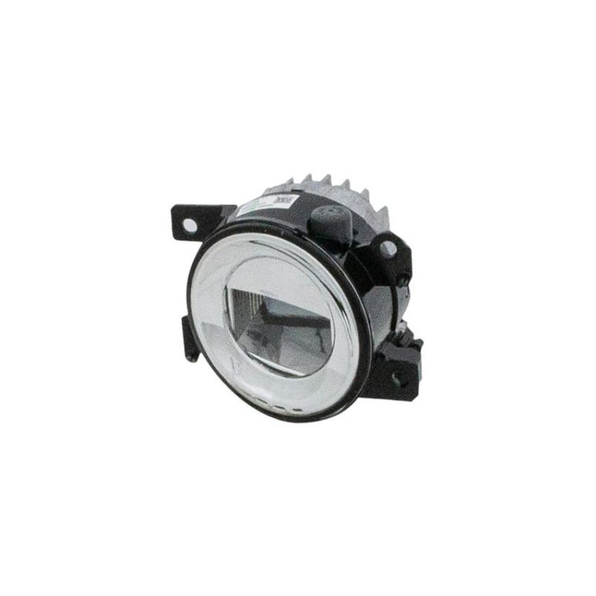 Eagle EyesDS826-B000R Fog Light Assembly