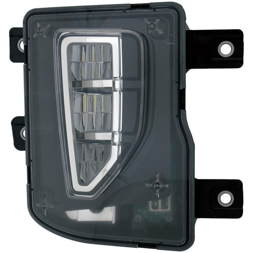 Eagle EyesGM698-B100R Fog Light Assembly