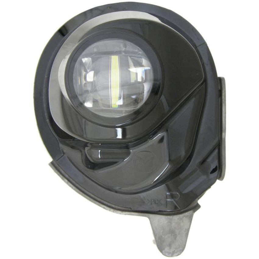 Eagle EyesMZ301-B100R Fog Light Assembly
