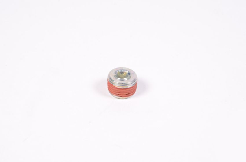 Radium Engineering 14-0173 3/8NPT PLUG
