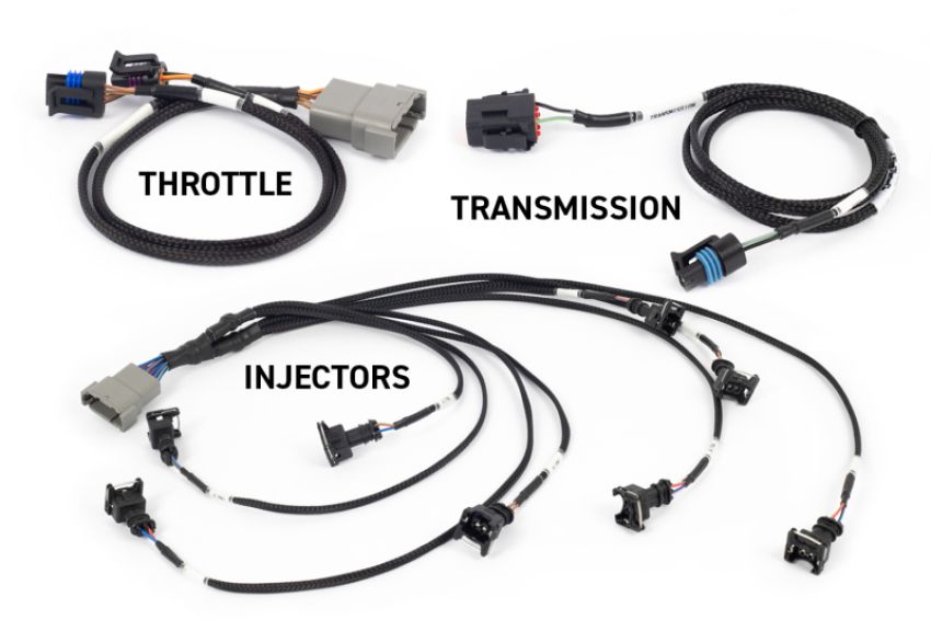 Haltech HT-220201 NEXUS Rebel LS Gen III Cable Throttle/EV1 Injectors/Manual Transmission