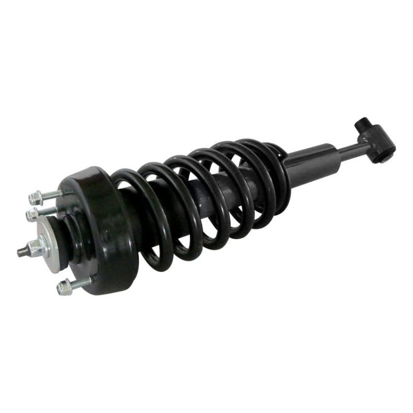 GSP 811317 Ford, Mercury Suspension Strut and Coil Spring Assembly  - Front