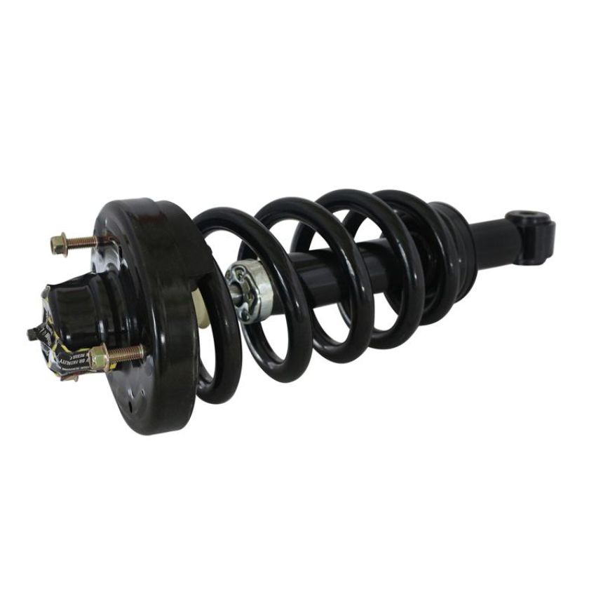 GSP 811361 10-14 Ford Expedition (Coil) Suspension Strut and Coil Spring Assembly  - Rear