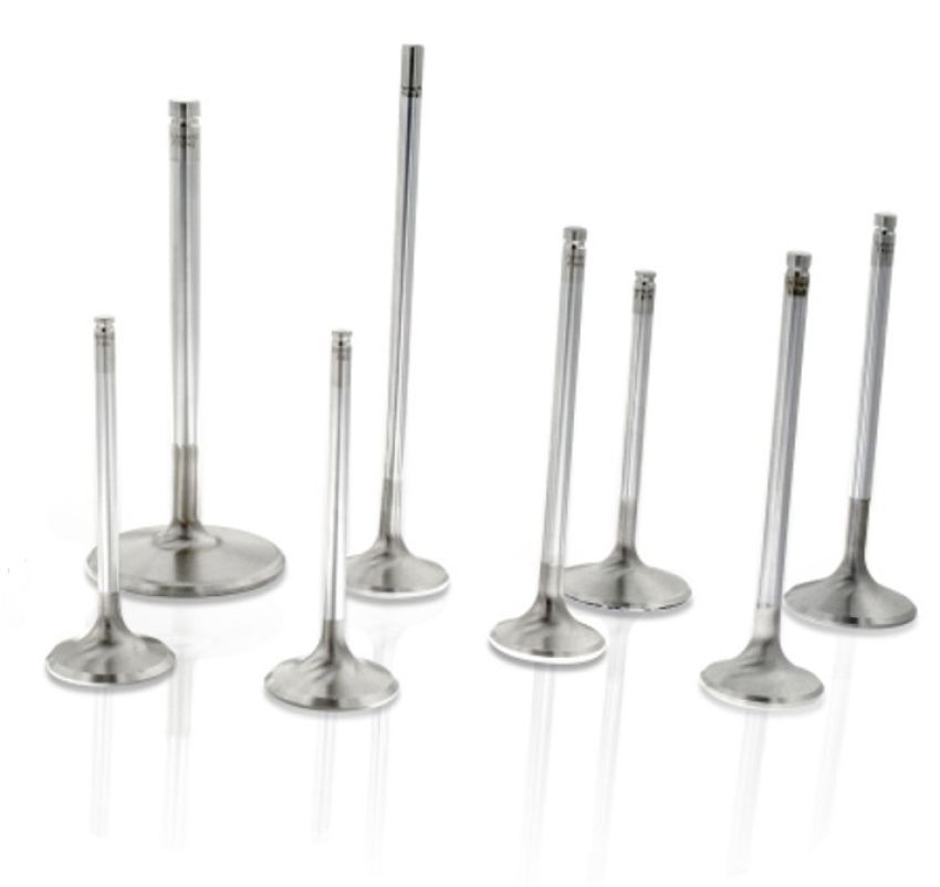 FERREA FERF6316-8 SBC C/6 1.600 Exhaust Valves 5/16 5.060 OAL
