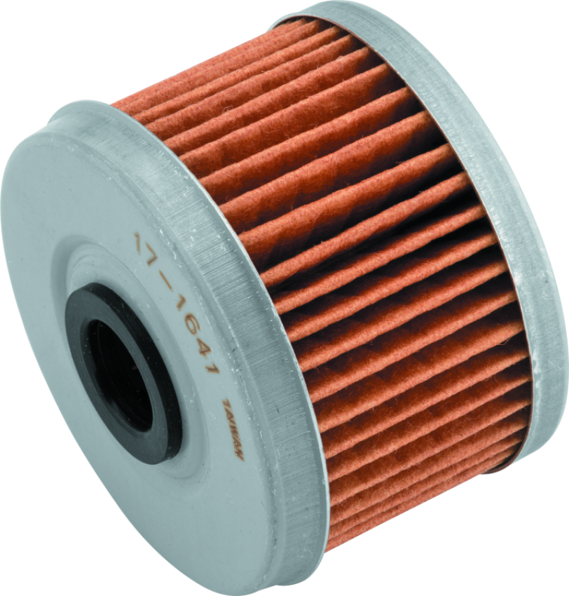 BikeMaster 171641 Honda BM-113 Oil Filter - Black