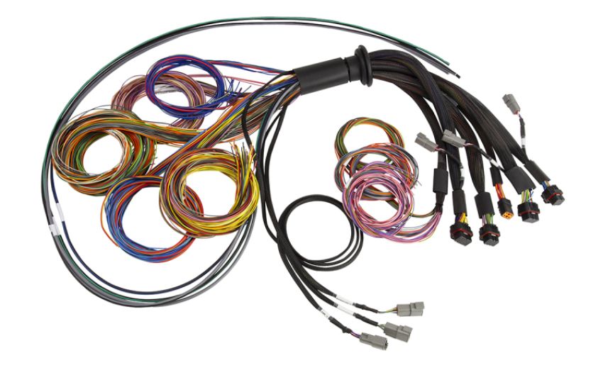Haltech HT-185200 NEXUS R5 Universal Wire-In Harness - 2.5M (8ft)
