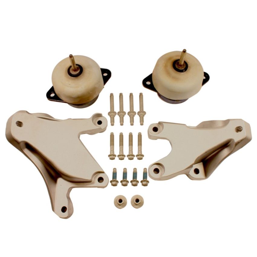 Ford Racing M-6038-M50 5.0L Coyote Engine Mount Kit