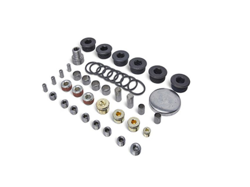 Ford Racing M-6026-ZBLOCK Block Plug And Dowel Kit For Z Blocks