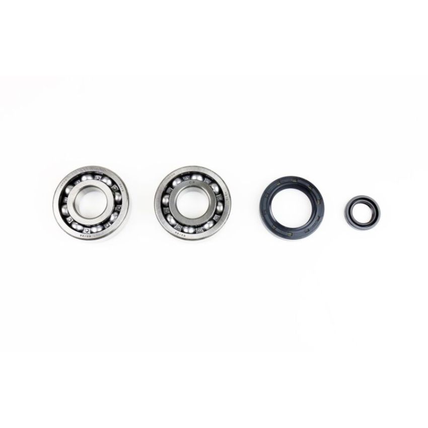Athena P400210444249 Main Bearing & Seal Kit