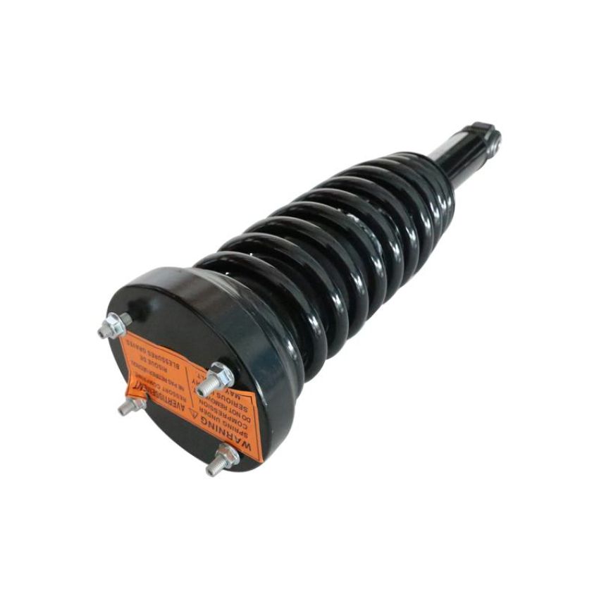 GSP 883189 Jaguar Suspension Strut and Coil Spring Assembly  - Rear