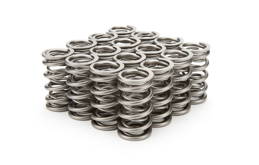 PAC RACING SPRINGS PACPAC-1204X-16 1.290 Dual Valve Springs - RPM Series (16)