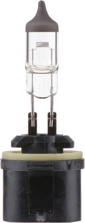 Philips 899B1 Philips Standard Fog Light 899