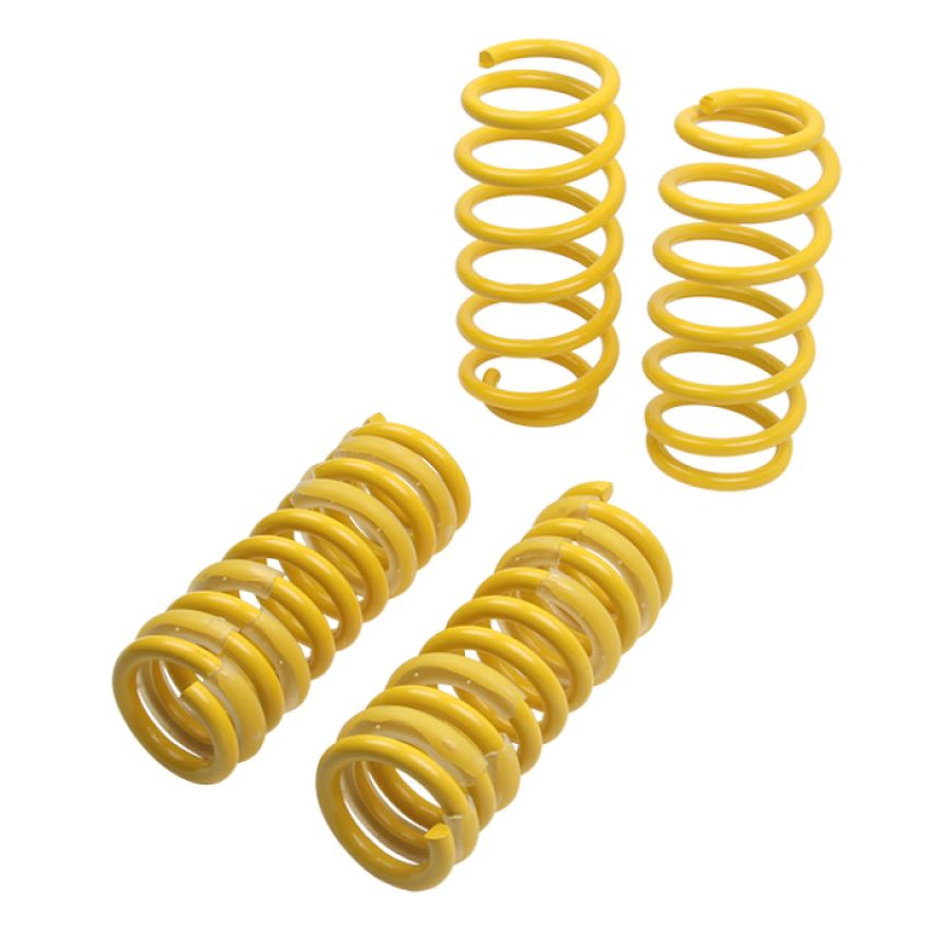Suspension (65503 ST LOWERING SPRINGS)