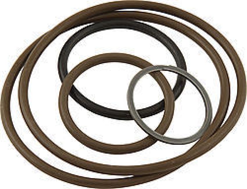 PETERSON FLUID PTR09-0486 O-Ring Kit