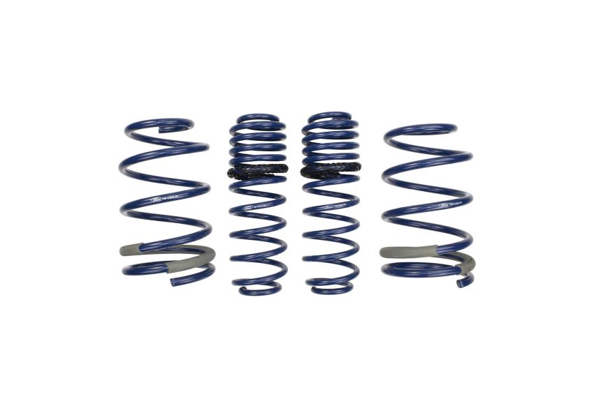 Ford Racing M-5300-PA 2005-2014 Mustang GT Track Lowering Springs