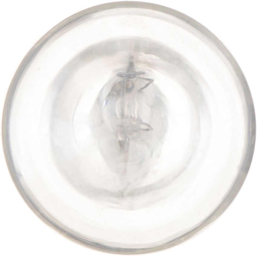 Philips 906CP Philips Standard Miniature 906 Pack of 10
