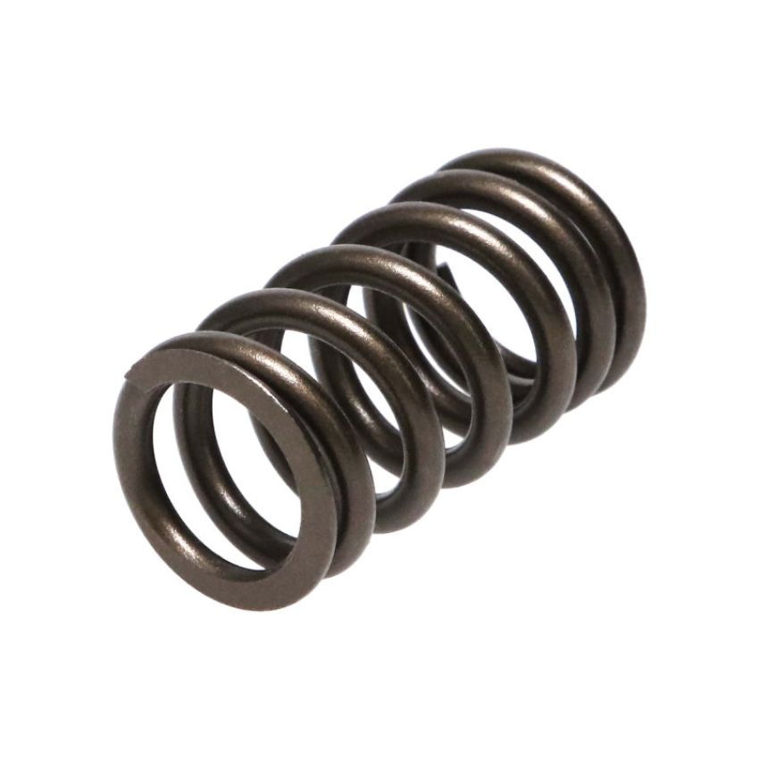 Manley Performance 22195-16 Manley Mitsubishi 4B11T 16pc Valve Springs