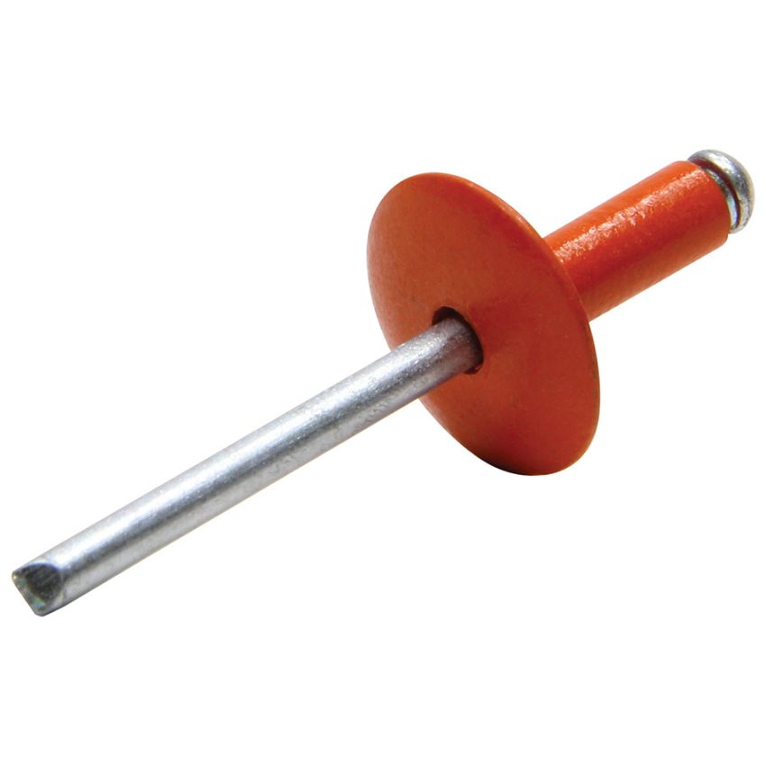 ALLSTAR PERFORMANCE ALL18015 Lg Hd Rivet Orange 250pk