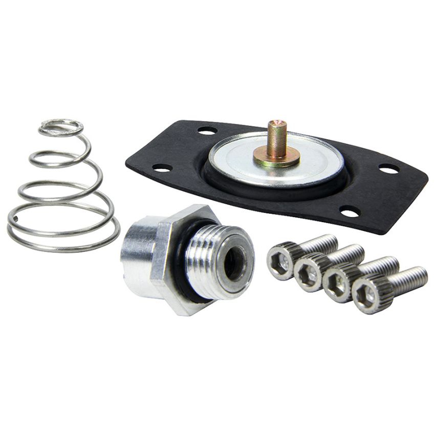 ALLSTAR PERFORMANCE ALL99430 Rebuild Kit for ALL40290