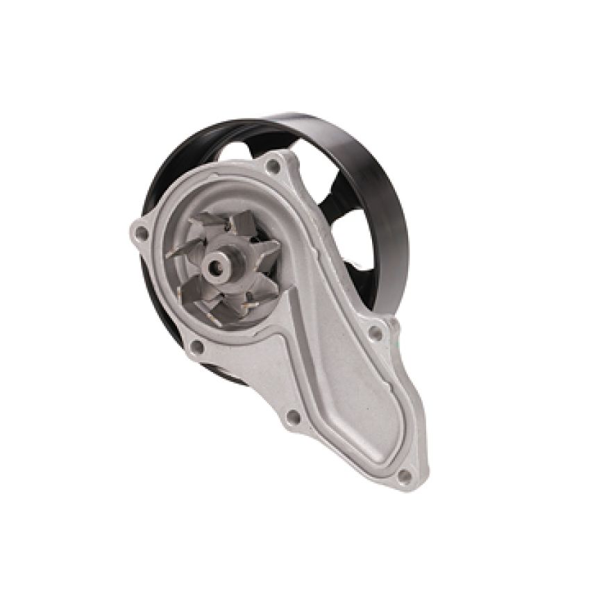 Dayco DP462 Water Pump