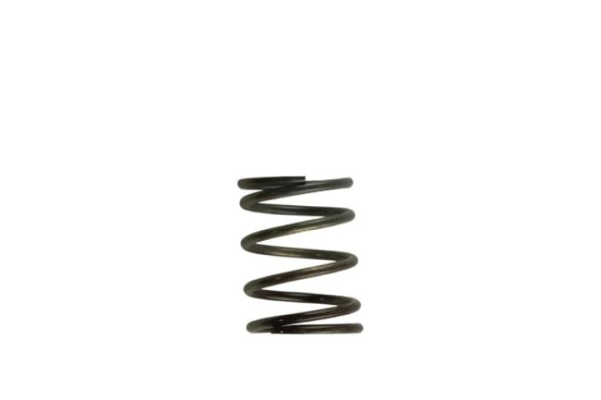 Turbosmart TS-0505-2002 WG40 5PSI Inner Spring Brown/Grey