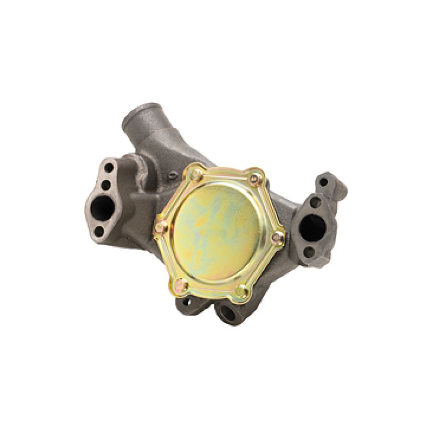 Dayco DP967 Water Pump