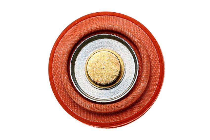 Radium Engineering 18-0017 DIAPHRAGM SERVICE REPLACEMENT FPR