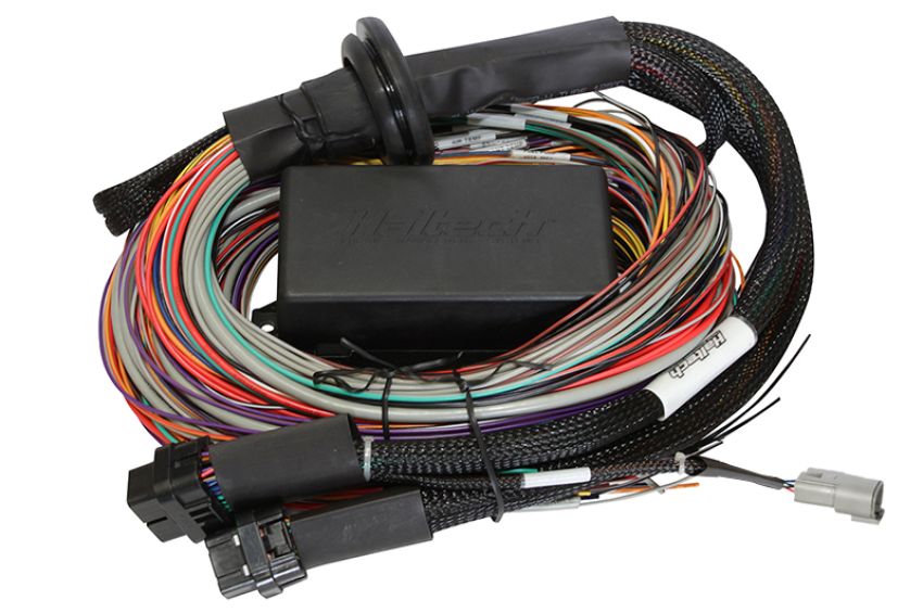 Haltech HT-141304 Elite 2500/2500 T 8ft Premium Universal Wire-In Harness
